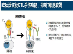 PD-1/PD-L1抑制剂的作用机制