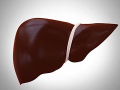 奥贝胆酸会导致患者的肝脏损伤吗