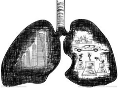 肺癌患者化疗过程中加入派姆单抗的使用效果如何？