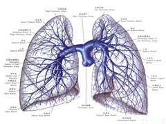 T790M突变肺癌患者使用布加替尼吗？