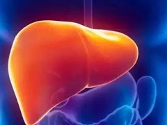 新药奥贝胆酸可能会造成肝脏损伤