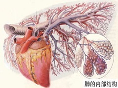 尼达尼布被批准用于治疗特发性肺纤维化