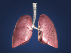 尼达尼布是治疗特发性肺纤维化的新方法