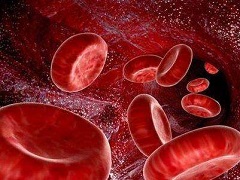 真性红细胞增多症患者长期服用芦可替尼效果怎么样？
