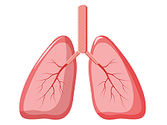 长期服用阿法替尼治疗肺癌可获益更多！