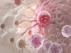 奥拉帕尼在女性癌症中的药效学