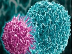 罗米地辛可以有效治疗T细胞淋巴瘤