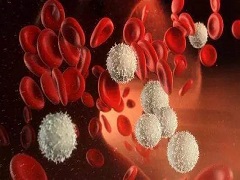 FDA批准博舒替尼治疗慢性髓性白血病
