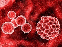博纳吐单抗联合治疗白血病的安全性和有效性