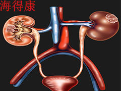 坦罗莫司治疗晚期肾细胞癌的最佳疗效