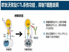 PD-1PD-L1 2018年最新临床数据汇总