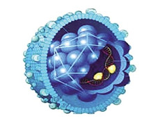 乙肝患者能不能生孩子呢？