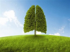 艾乐替尼治疗肺癌效果好