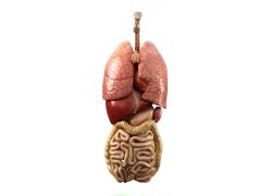 索拉非尼服药过量会出现哪些严重不良反应？
