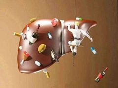 索拉非尼的使用顺序不影响转移性肾癌的疗效