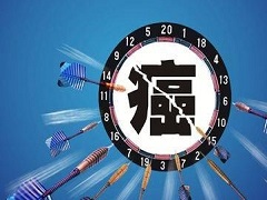 目前市场上瑞格菲尼有哪些版本？