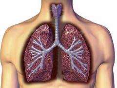 吡非尼酮和尼达尼布可降低间质性肺病患者肺功能下降速度