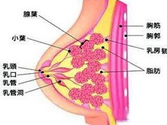 靶向新药来那替尼你了解吗？