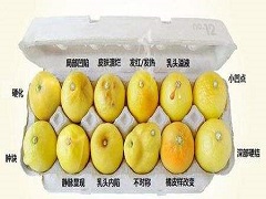 帕博西尼不良反应