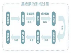 印度威罗菲尼价格是多少