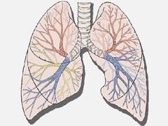 阿法替尼治疗靶点针对哪些肺癌基因型？