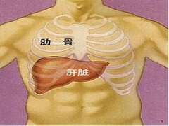 哪种类型的患者服用索拉非尼效果好？