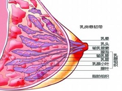 帕妥珠单抗联合曲妥珠单抗可以治疗HER2阳性的转移性乳腺癌