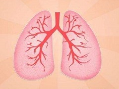尼达尼布(NINTEDANIB)延缓了特发性肺纤维化患者的疾病进展