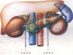 舒尼替尼治疗其他疾病