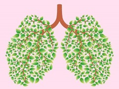 PD-1抑制剂改变了肺癌的治疗方式！