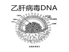 慢性乙型肝炎药物TAF适合那些患者？