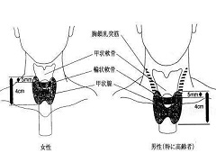 凡德他尼可以治疗多发性骨髓癌和甲状腺癌