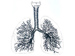 派姆单抗可几线治疗晚期肺癌患者呢？