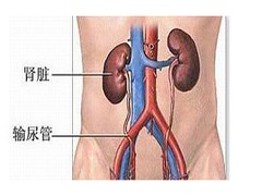 卡博替尼与依不同阶段的肝癌效果如何