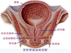 心血管疾病使用阿比特龙的警告说明