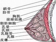 帕博西尼疗效和安全性已经得到认可