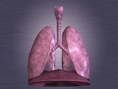 哪些非小细胞肺癌患者不适合使用派姆单抗？