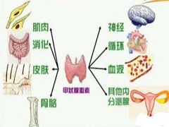 凡德他尼副作用哪些常见哪些不常见？