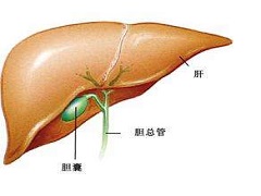 雷莫芦单抗靶向治疗肝癌的效果如何