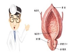 印度阿比特龙与强生生产的差别大吗？