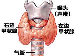 凡德他尼通过什么治疗甲状腺癌