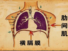 神奇药物布加替尼在ALTA-1L试验中大放异彩