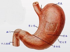 雷莫芦单抗作为二线使用效果更好