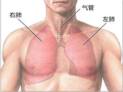 使用尼达尼布能够延长患者的总生存期吗