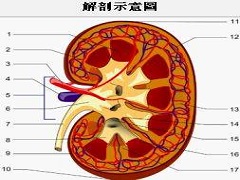 印度帕唑帕尼效果怎么样？