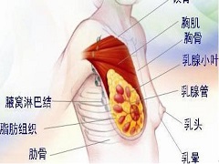 使用来那替尼可能有较高的副作用风险