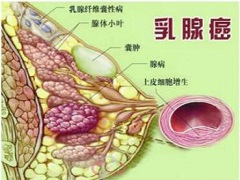 帕妥珠单抗能够结合特定结构起效