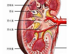 阿西替尼副作用对患者的影响大吗？