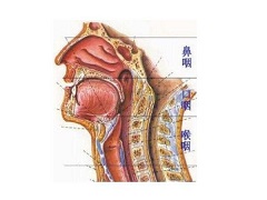 阿西替尼能够神经内分泌瘤和鼻咽癌