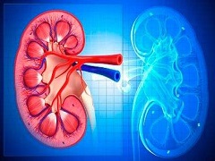 个性化方案可以让阿西替尼疗效更好发挥